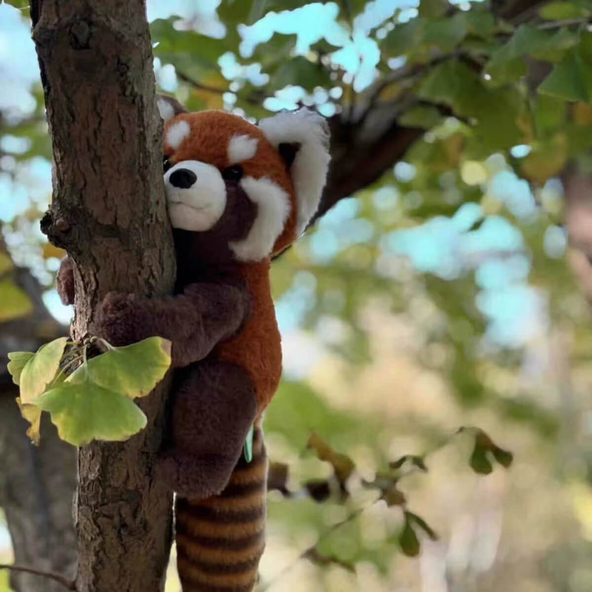 Peluche panda roux mignon, panda roux en peluche réaliste, 9,8''